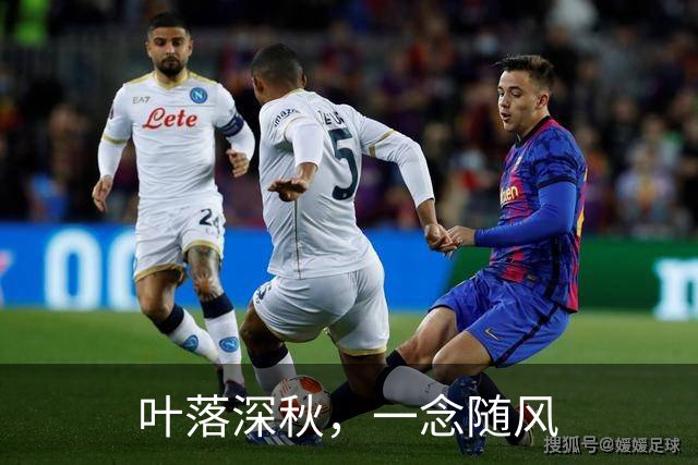 叶落深秋，一念随风